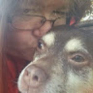 Meet your Posher, Lori jo